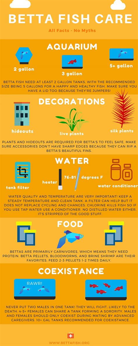 Care For Betta