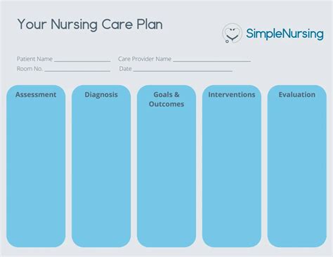 Care Plan Format