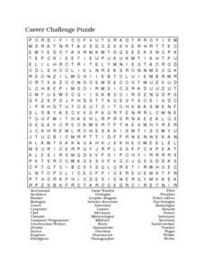 Career Challenge Puzzle