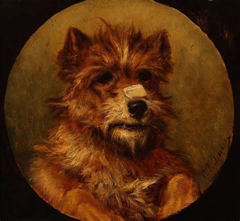 carl friedrich deiker wiki