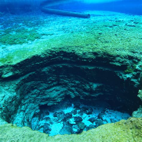 carlos fonseca cave diver movie