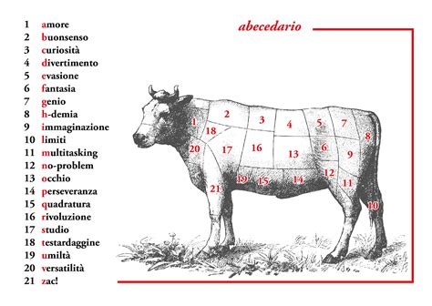 Carne Da Macello
