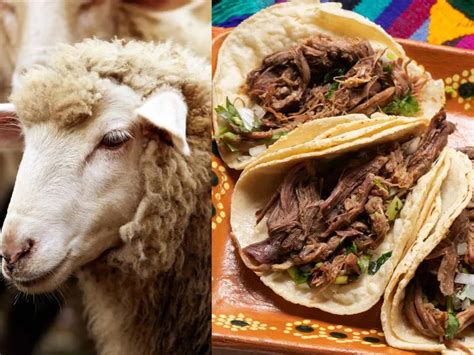 Carne De Borrego