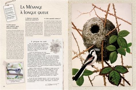 carnets secrets d un ornithologue