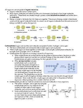 carolina biology student guide answer key