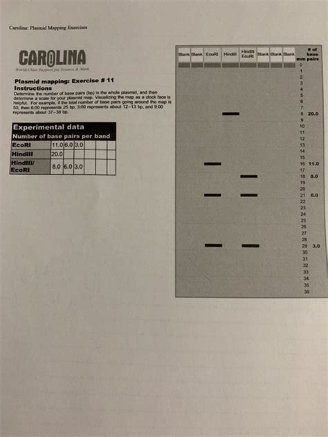 carolina plasmid mapping exercise answers