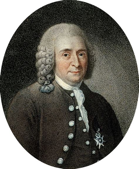 carolus linnaeus biography