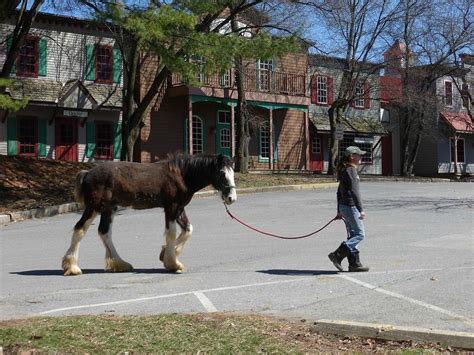 carousel park delaware