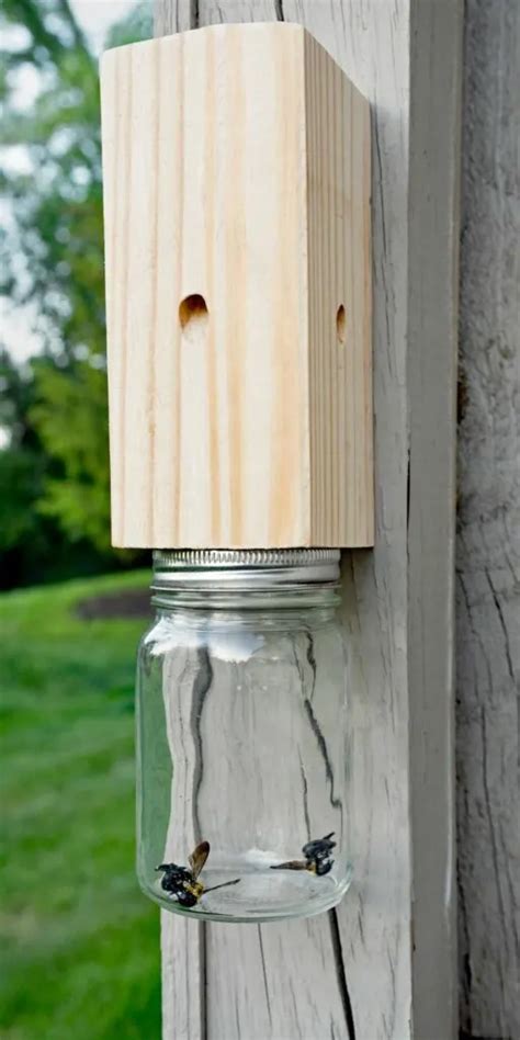 Carpenter Bee Traps