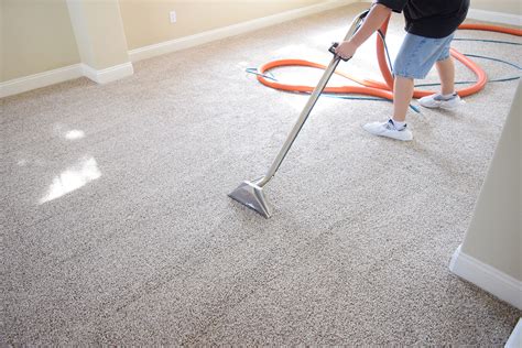 Carpet Cleaning Soas