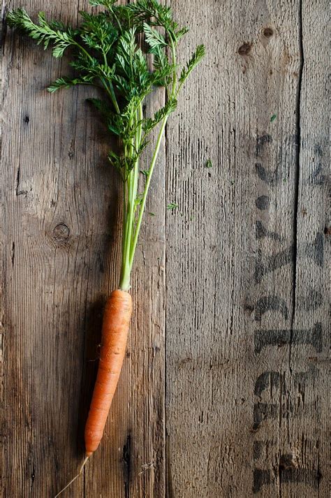 carrot nudes
