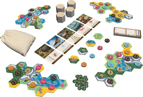 Cascadia Board Game
