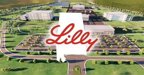Case 6 3 Eli Lilly In India Rethinking The Joint Venture