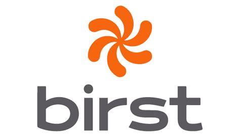 Case Study Birst