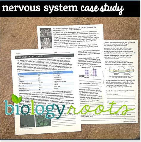 Case Study On The Nervous System Answers