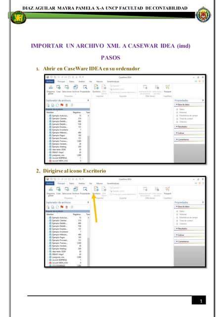 caseware idea script manual