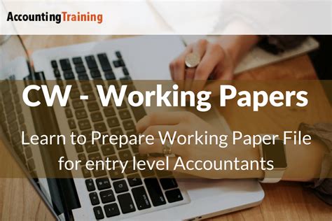 Read Caseware Working Papers Training 