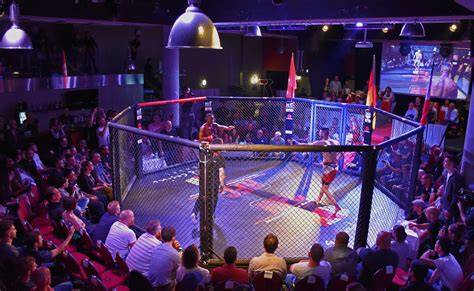 casino basel mma!