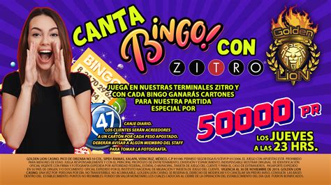 casino bingo xalapa cirb france