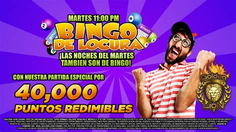 casino bingo xalapa iszp luxembourg