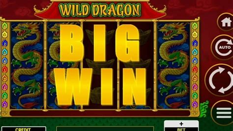 casino casino wild dragon bcul