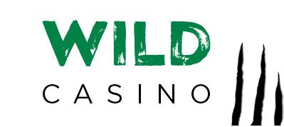 casino casino wild dragon belgium