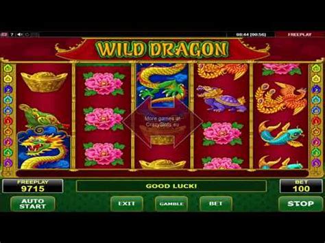 casino casino wild dragon zfvu