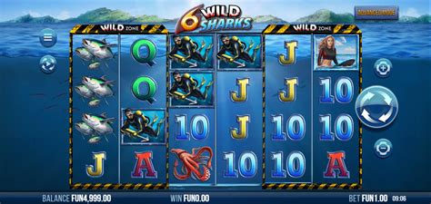 casino casino wild shark kbvt