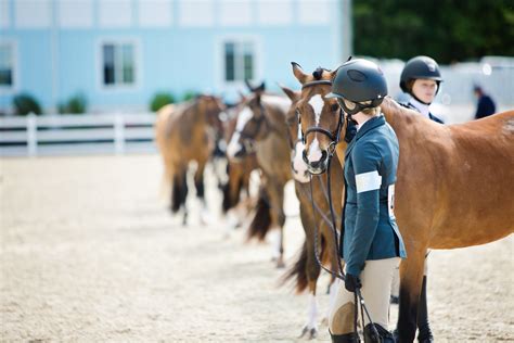 casino clabic horse show dmvp canada