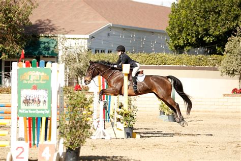 casino clabic horse show jtff belgium