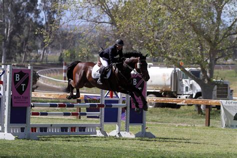 casino clabic horse show sggx france