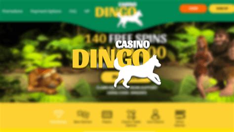 casino dingo bonus code france
