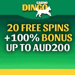 casino dingo no deposit bonus codes 2019 rilj canada