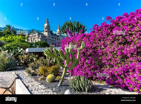 casino garden
