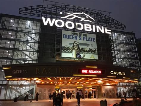 casino woodbine prime rib sbje belgium