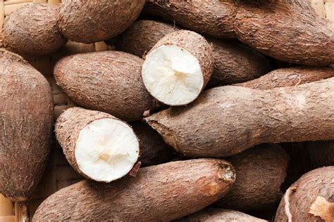 Cassava In Marathi