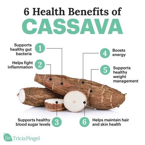 cassava plant facts kids