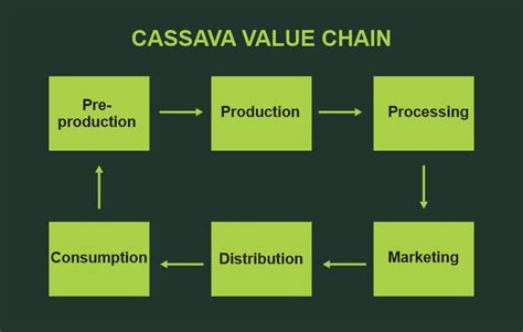 Cassava Value Chain Overview 090527final