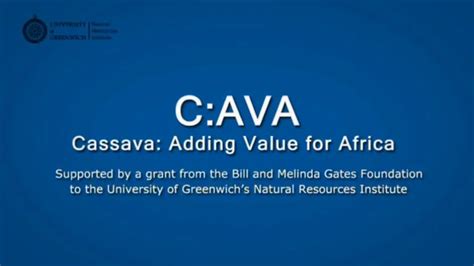 Download Cassava Adding Value For Africa C Ava Project A Guide 