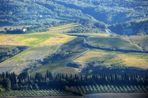 Castel Viscardo Tr