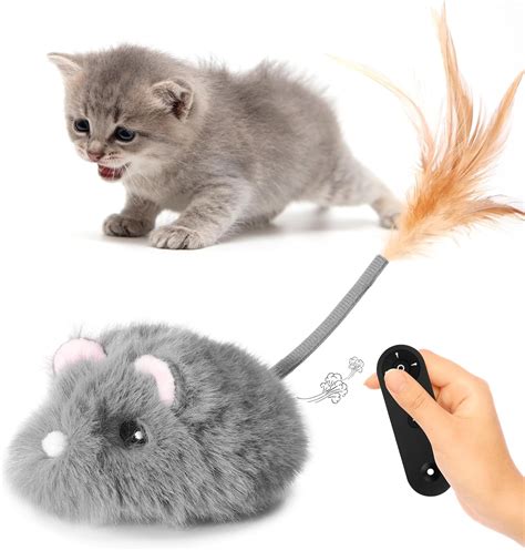 Cat And The Mouse