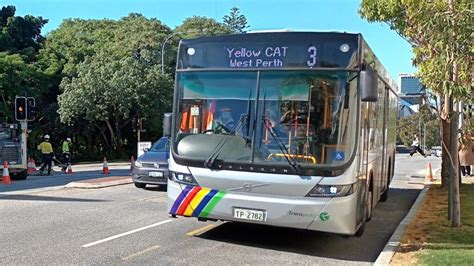 Cat Bus Perth