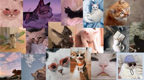 Cat Collage Tumblr