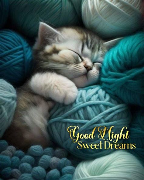 Cat Dreams