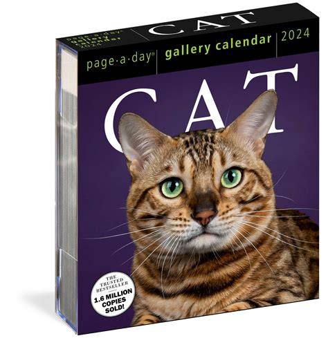 cat gallery 2020 calendar