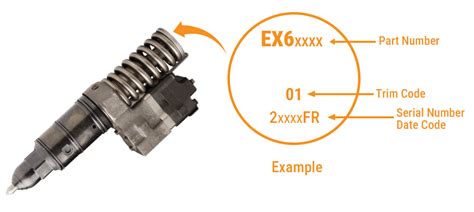 cat injector code