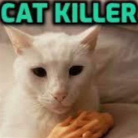 Cat killer omegle