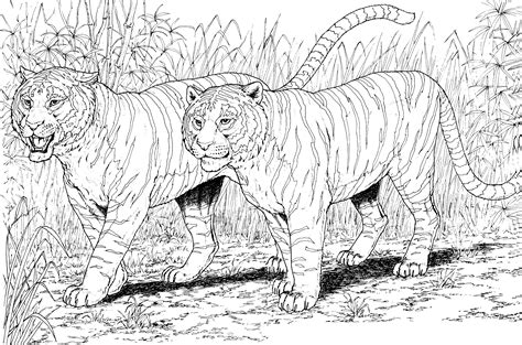 Cat Lion And Tiger Coloring Pages Twisty Noodle Lions And Tigers Coloring Pages - Lions And Tigers Coloring Pages