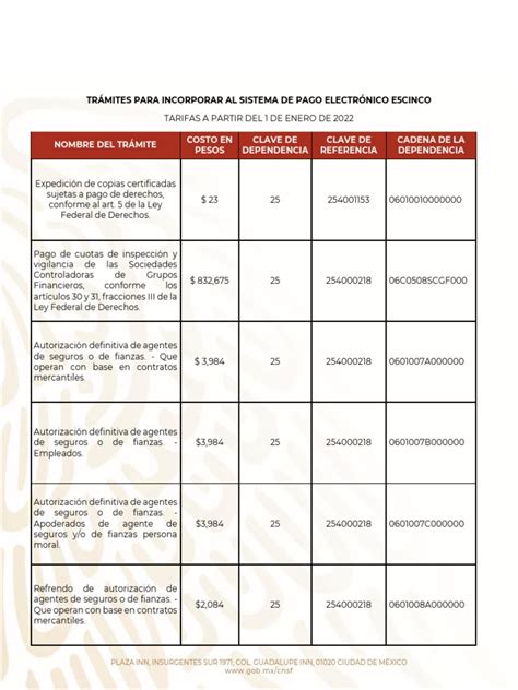 Cat Logo De Servicios