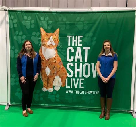 cat show nec